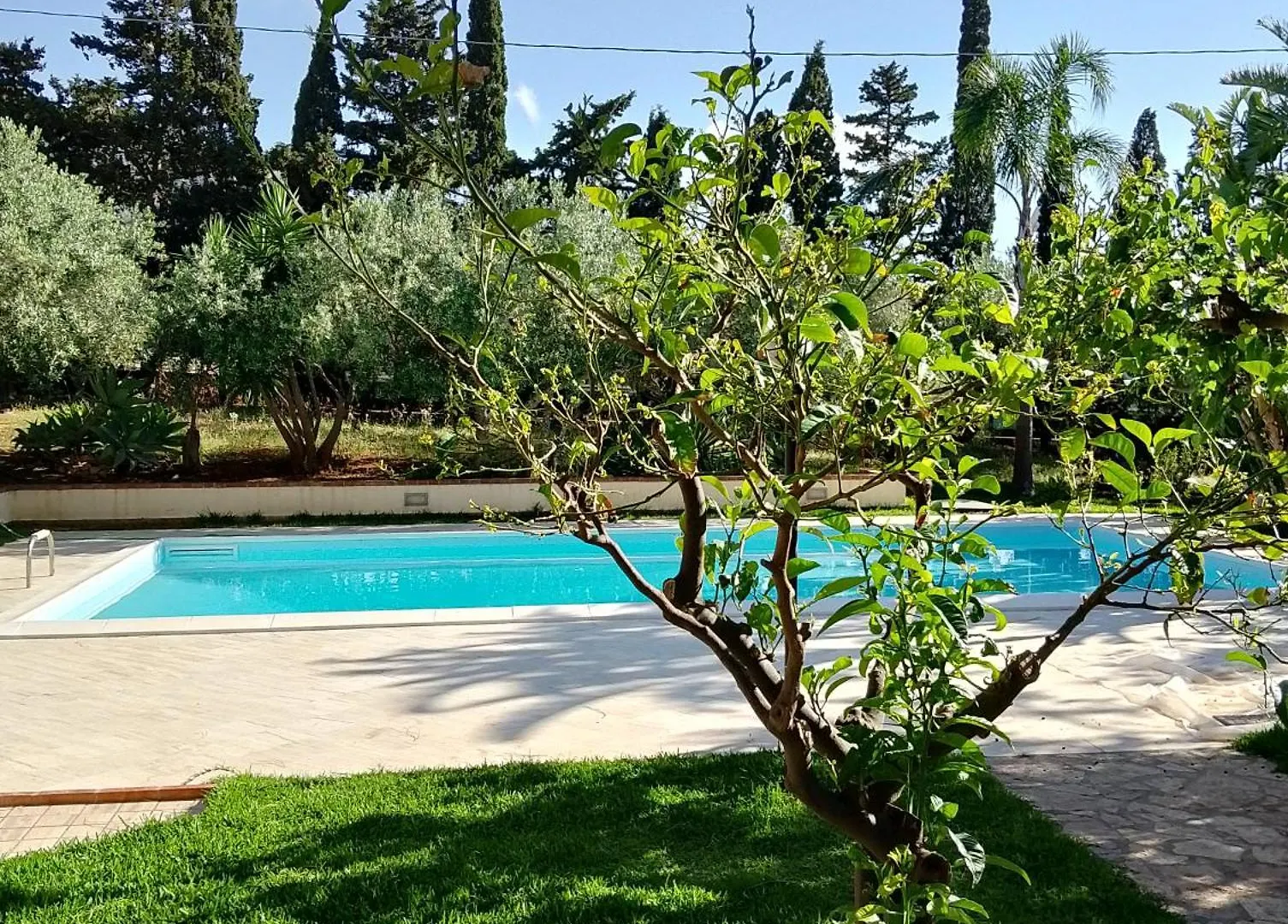 קאסטלמארה דל גולפו Villa Flora