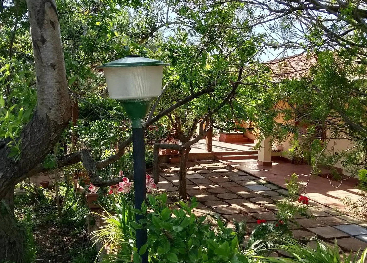 קאסטלמארה דל גולפו Villa Flora איטליה