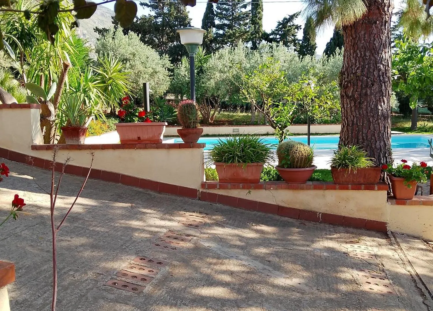 קאסטלמארה דל גולפו Villa Flora  קאסטלמארה דל גולפו